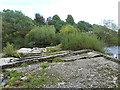 Old weir on the River Teviot