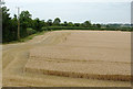 SP1658 : Wheat field east of Wilmcote, Warwickshire by Roger  D Kidd