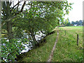 Border Abbeys Way at Midshiels