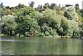 View across the River Thames