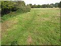 Public footpath across pasture