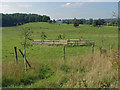 View towards Eastbury Park