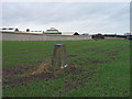 Trig point of Holme House Farm