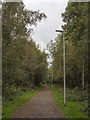 Cycle/pedestrian path near Oakley