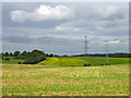 Fields and power lines