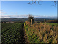 Trig point on field boundary