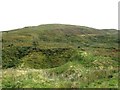 NY5856 : The northern slopes of Brown Fell by Mike Quinn