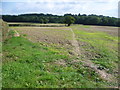 Footpath to Scollops Farm