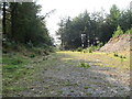 Access to forestry plantation on the edge of the Annaghmare Bog