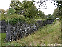 SX4859 : A corner of the wall and ditch of Crownhill Fort by David Smith