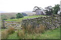 View of Banks over dry stone walls beside road to Adamthwaite