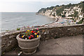 SY2389 : Floral Display and the Beach, Beer, Devon by Christine Matthews