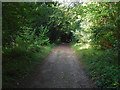 Footpath to East Horsley