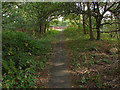 Walkway between the A322 and the A30