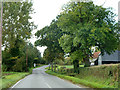 Thaxted Road by Smiths Green Farm