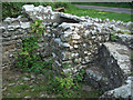 Inside the enclosure at St David?s Well, Nottage