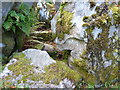 NR9897 : Chambered cairn, Crarae Gardens by sylvia duckworth