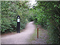 TQ5786 : Path from Pike Lane to Thames Chase Forest Centre by Roger Jones