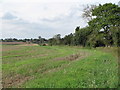 Arable land, Boxted