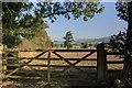 Gate into Field Near Stockmeadows