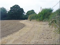 TL0803 : Harthall Lane - Field Edge by Colin Smith