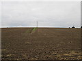 The  Leys  a  large  field  alongside  Atwick  Road