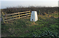 Trig point of Potato Hill