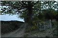 Farm track near Wigmore