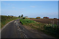 Starra Field Lane towards Low Farm