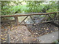 Pond on Hampstead Heath Extension