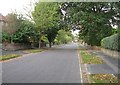 Looking down Napoleon Avenue