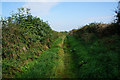 Elwick Lane towards Thorpe Green Lane