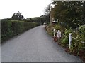 The driveway leaving the vineyard