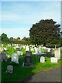 TL4675 : Chewell Lane graveyard, Haddenham by Andrea