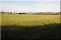 Farmland to the east of Llansannan