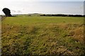 Farmland near Penrhos