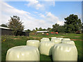 Big Bales at Swanworth Farm