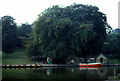 Rowing boats, Waterloo Lake