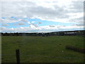 TM0421 : Field near Ballast Quay Road by Hamish Griffin