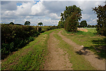 SE4664 : Rice Lane towards Myton-on-Swale by Ian S