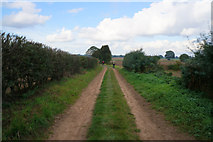SE4564 : Rice Lane towards Myton-on-Swale by Ian S
