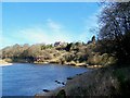 Horncliffe from the river bank