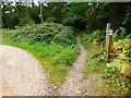 Bridleways cross at Brandy Bottom