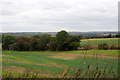 Copse in the field by Twinwood Road