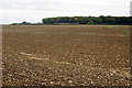 Twin Wood and ploughed field