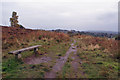 Path and bench on Wetley Moor