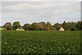 Across the beet field towards Lower Bodham