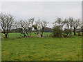 Field with Triangulation Pillar at Watchhill