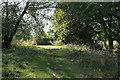 Path leading to Boroughbridge