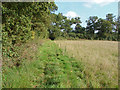 Footpath to Hungry Hill Lane